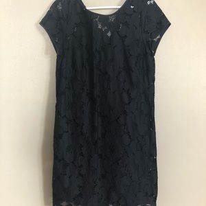 LOFT lace dress